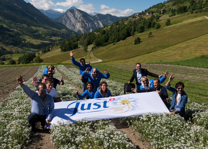 Berater bei JUST